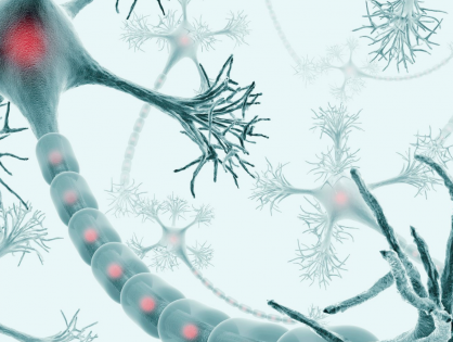 BRAF Signaling Inhibition in Glioblastoma: Which Clinical Perspectives?