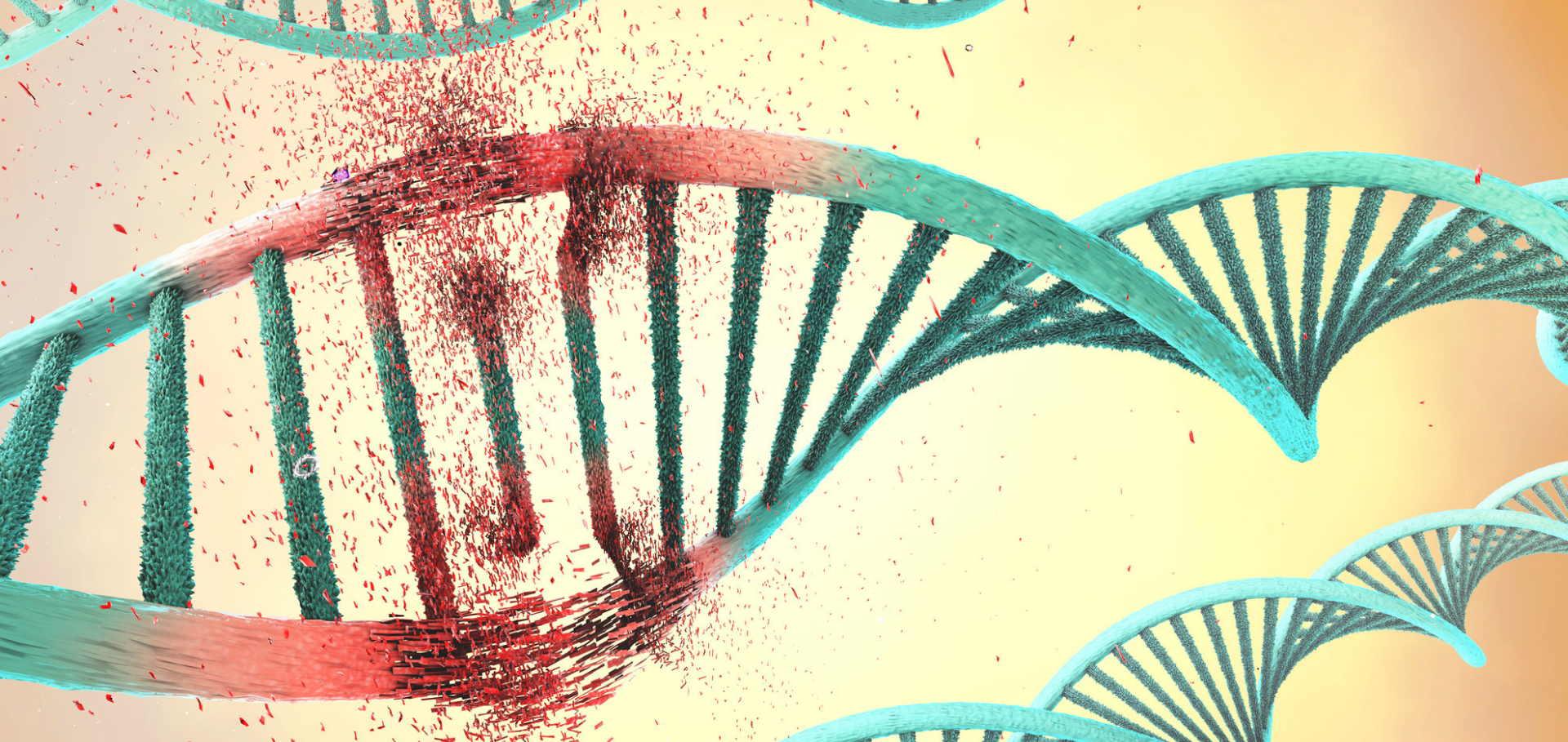 Tumor Type Agnostic Therapy Carrying BRAF Mutation: Case Reports and Review of Literature