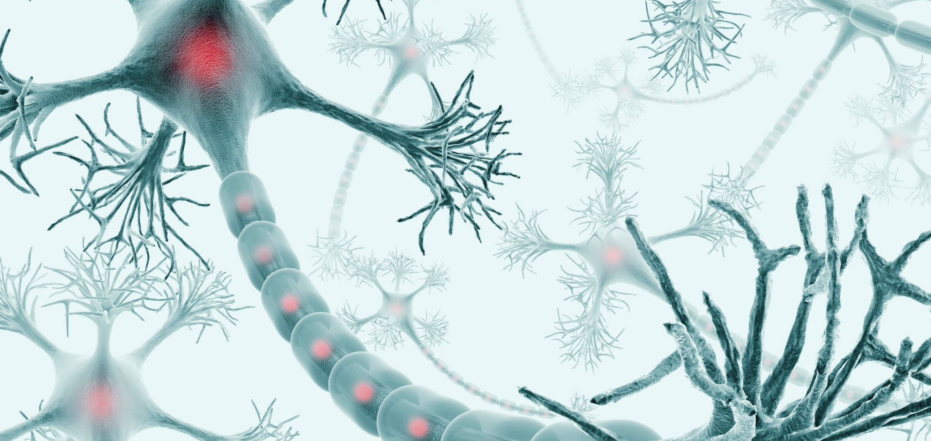 BRAF Signaling Inhibition in Glioblastoma: Which Clinical Perspectives?