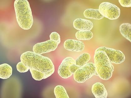 Faecal microbiota composition is related to response to CDK4/6-inhibitors in metastatic breast cancer: A prospective cross-sectional exploratory study