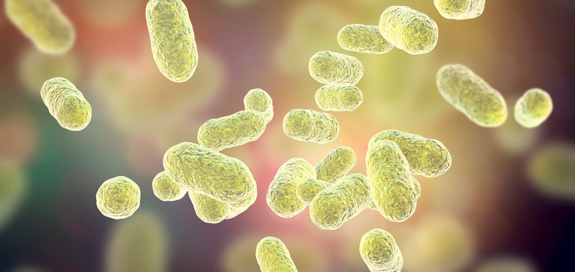 Faecal microbiota composition is related to response to CDK4/6-inhibitors in metastatic breast cancer: A prospective cross-sectional exploratory study